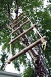 ladder.jpg